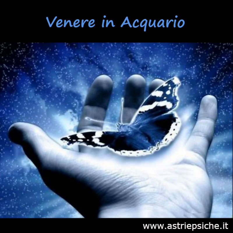 venere acquario ist