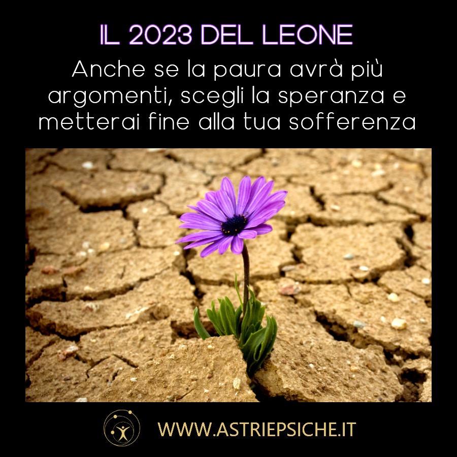 5-2023 leone