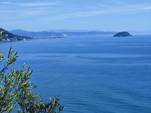 IMG_20260502_55110435 (1)